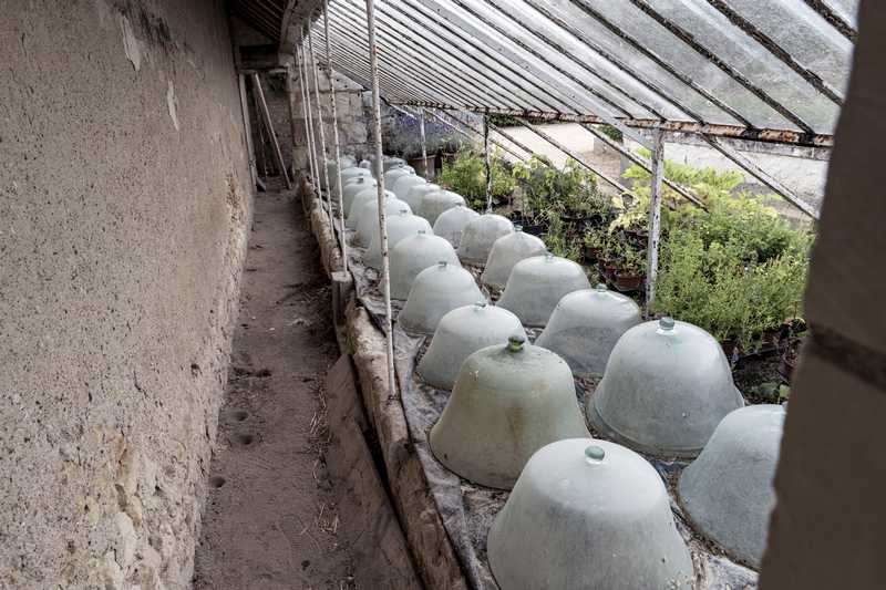 Vegetable Garden Bells: Beautiful and Effective Against The Cold