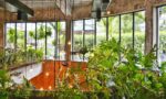 This is how you make your house a little greener 22 This is how you make your house a little greener