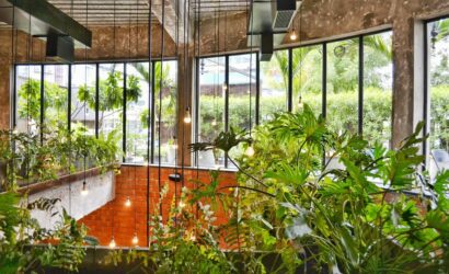 This is how you make your house a little greener