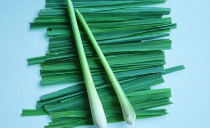 How to use lemongrass